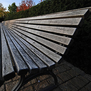 Bank im Herbst