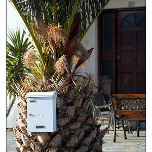 Palmenbriefkasten