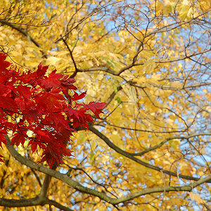 DSC 6637 web