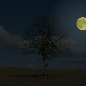 der Mond ist aufgegangen