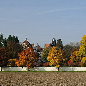 D03 2229