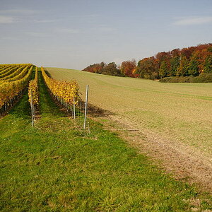 D03 2323