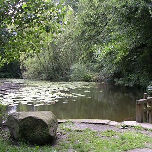 still ruht der See,
aufgenommen im Emsland