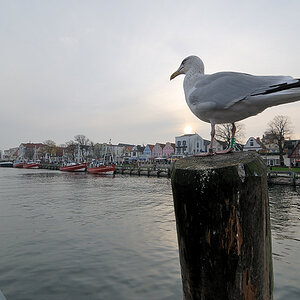 20081108 10 Warnemünde