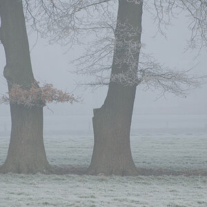 20071221 4622 [D200]B   F6.3 300.00mm