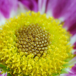 bild03