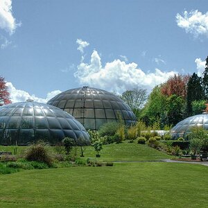 Botanischer Garten Zürich