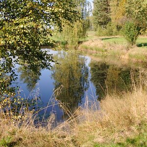 Ruhe am Teich