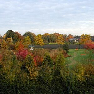 Büroblick Herbst 1999