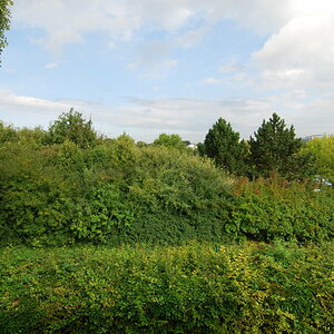 Büroblick Sommer 2008