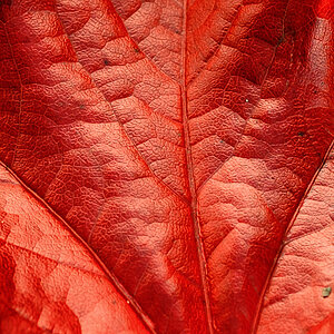 herbst01