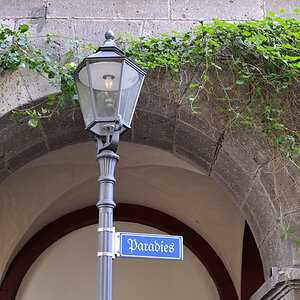 D3N1763x