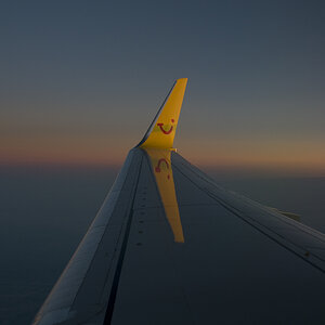 wing2