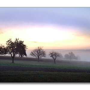morgen 3