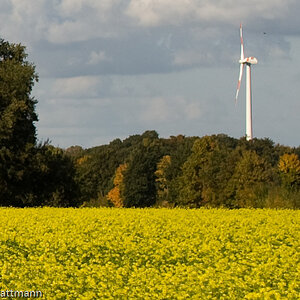 20081009 4257 [D700]   F5,6 50,00mm 2