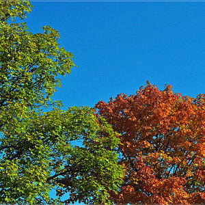 Herbst im Schwarzwald