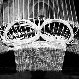 Koto01