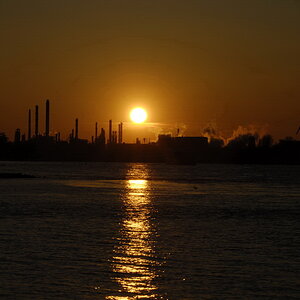 Rhein5a