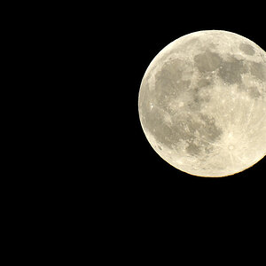 Mond