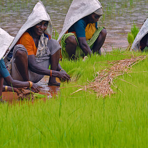 Indien 11