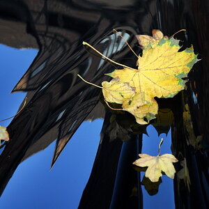 HerbstLich(t)