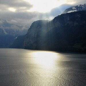 gegenlicht