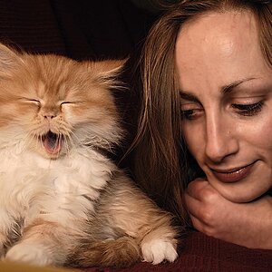 2008 12 22 Sarahs Katze Gremlin D7C 0246 ps