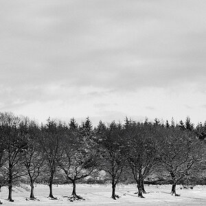 winterlandschaft