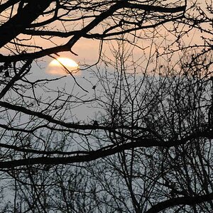 Sonnenuntergang 2
D300 + 300/4 ED