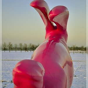 Hasen in Ostfildern im Abendlicht - Kunst? ;)
