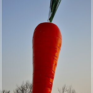 Gemüse in Ostfildern im Abendlicht - Kunst? ;)