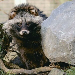 comp Tierpark Aachen 17neu