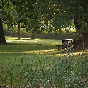 20080911 3444 [D700]   F4,0 200,00mm