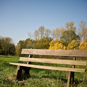 20081025 4577 [D700]   F3,5 28,00mm