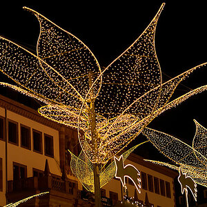Wiesbaden 2008 12 13  DSC6895 1 hsw