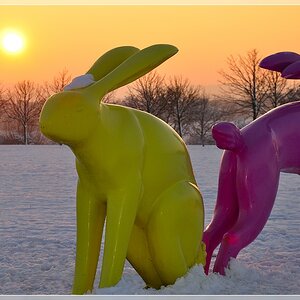 Hasen in Ostfildern im Abendlicht - Kunst? ;)
(mod: Schnee "verbessert")