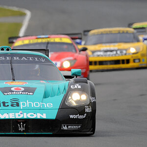 FIA GT 2008/Maserati