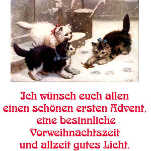 Advent1