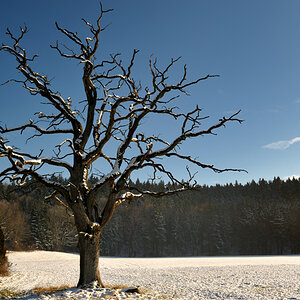 20081214 135034Winter Muehltal