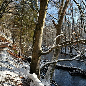 NFF 20081214 124328Winter Muehltal