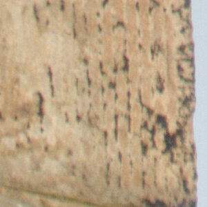 a turm tam crop1