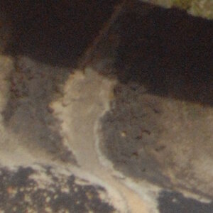 a turm nik crop2