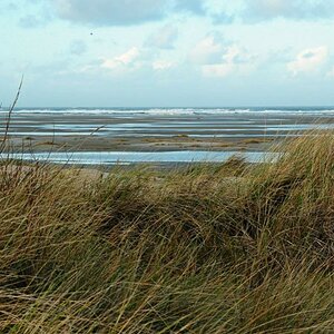 Borkum: Außendünen/Vorland am Nordstrand/Höhe Seeblick (MHX 6590AKUSMx)