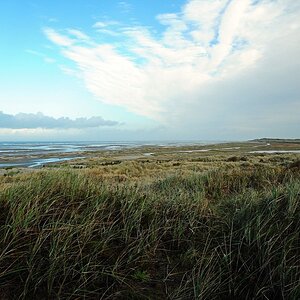 Borkum: Außendünen/Vorland Höhe Sturmeck (MHX 6578autoUSMx)