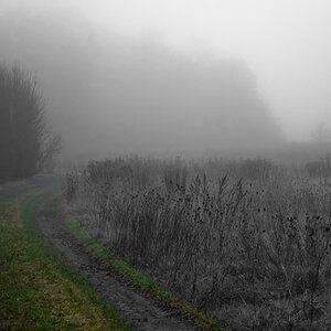 Nebel2