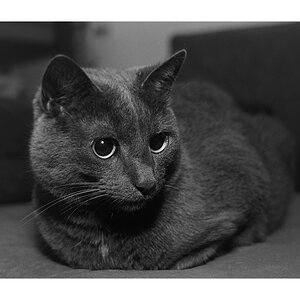 Nikon F100, Ilford FP4, Nikkor AF 28-70 D @ f/4.5, SB-600