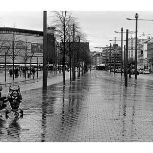 Nikon F100, Ilford FP4, Nikkor AF 50/1.8 D @ f/5