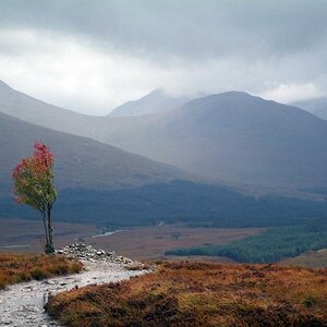 Scotland - Fremdbeitrag Bild korrigiert