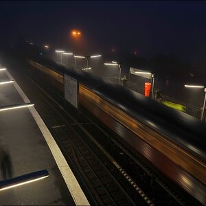 acomp nebel 0010