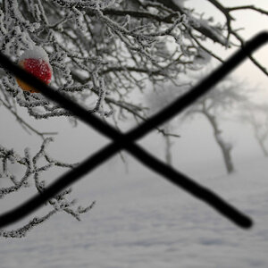 DSC 2090 canceled